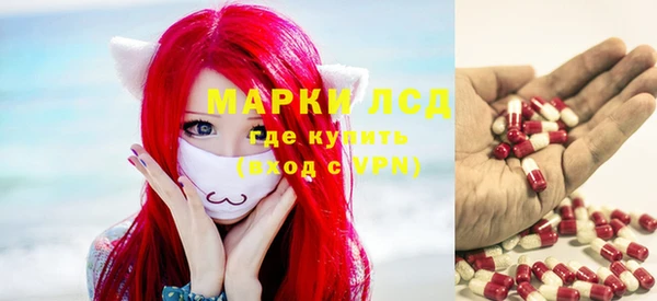 apvp Алзамай