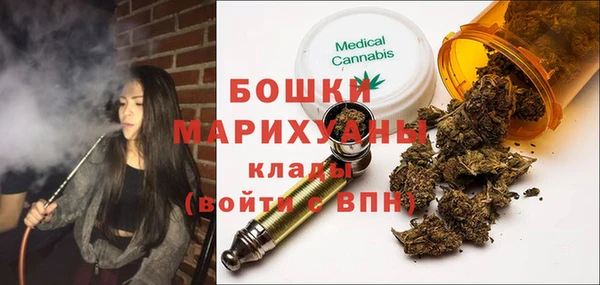 шишки Алексин