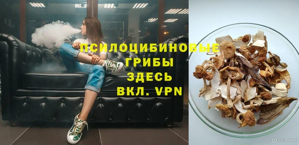 apvp Алзамай