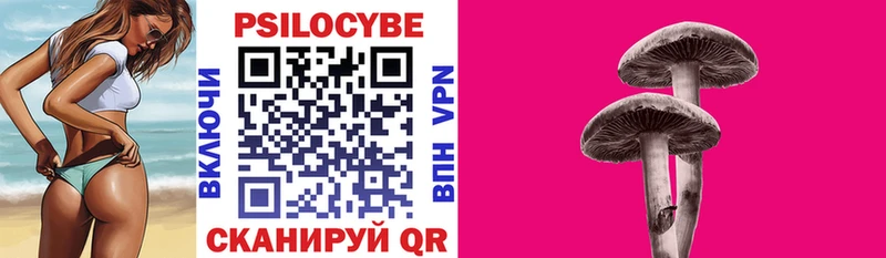 Галлюциногенные грибы Psilocybe  omg зеркало  Амурск  наркошоп 